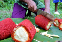 Slices-of-Buah-Merah