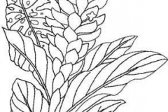 Sketch-of-Red-Ginger