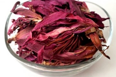 Dried-flowers-of-Red-Water-Lily