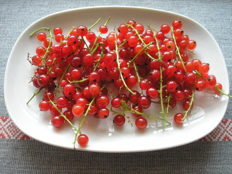Redcurrant-on-the-plate