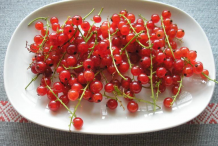 Redcurrant-on-the-plate