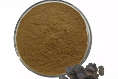 Root-Powder-of-Rehmannia