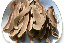 Dried-Reishi-mushroom
