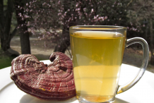 Reishi-Tea