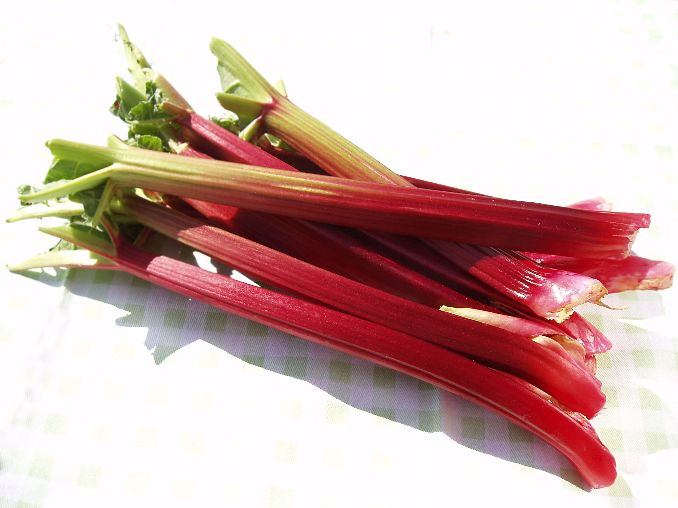 Rhubarb-stalk