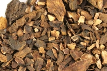 Rhubarb-root-dried