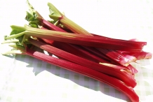 Rhubarb-stalk