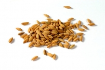 Rice-bran-4