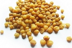 Seeds-of-Ricinodendron-