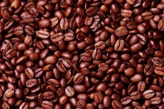 Roasted-robusta-coffee-beans