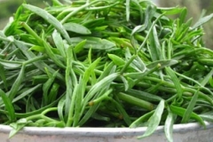 Collected--Rock-Samphire