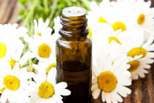 Roman-Chamomile-Essential-oil