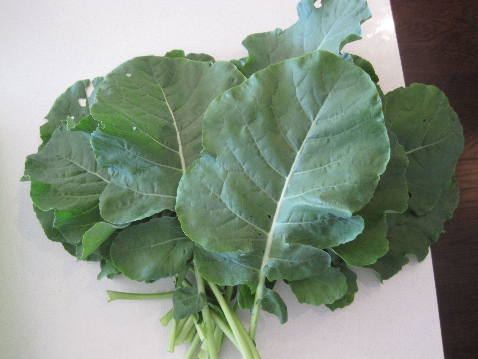 Leaves-of-Romanesco-broccoli