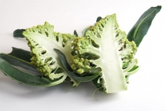 Half-cut-Romanesco-broccoli