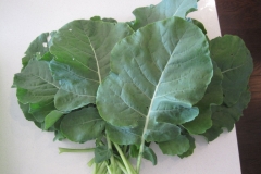 Leaves-of-Romanesco-broccoli