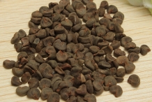 Roselle-seeds