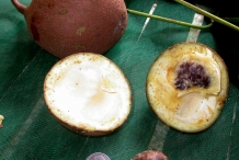 Rowal-fruit-cut