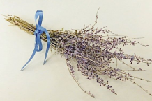 Dried-Flowers-of-Russian-Sage