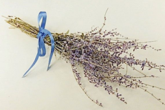 Dried-Flowers-of-Russian-Sage