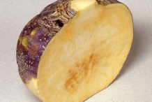 Half-cut-Rutabaga