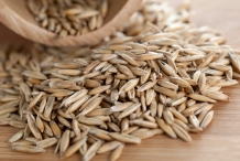 Rye-grains