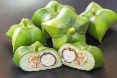 Sacha-Inchi