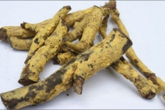 Salacia-reticulata-roots