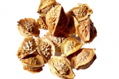 Seeds-of-salad-burnet