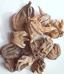 Dried-roots-of-Salam-Panja