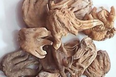 Dried-roots-of-Salam-Panja