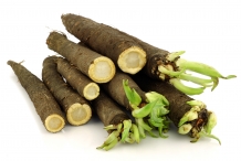 Salsify-roots