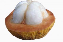 Half-cut-Santol-fruit