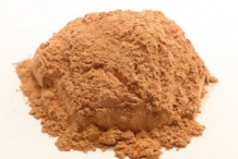 Sassafras-powder-Sasapareosu