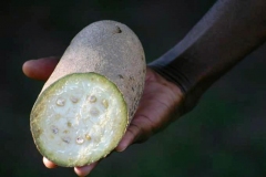 Half-cut-Sausage-fruit