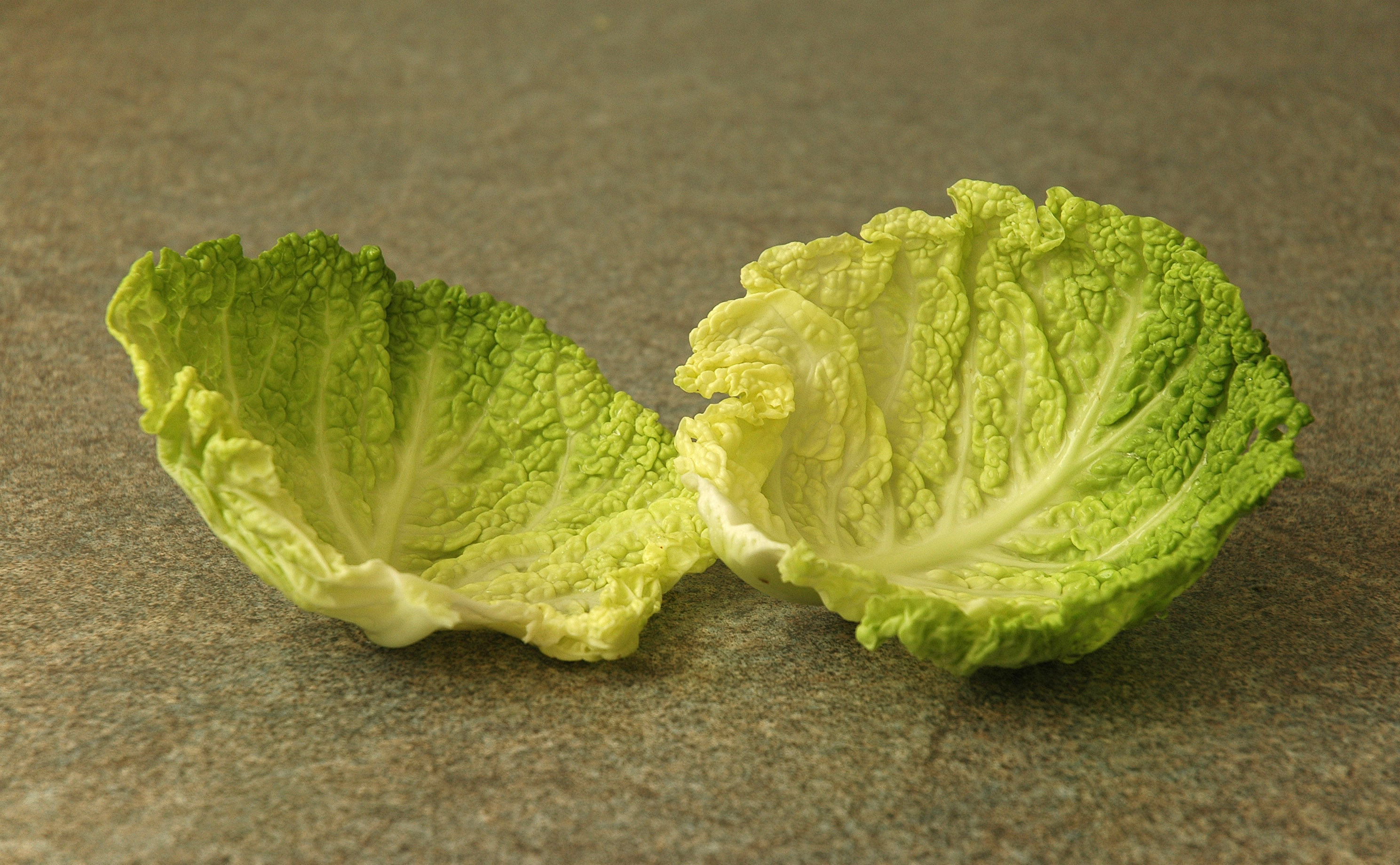 Leaves of Savoy cabbage