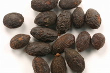 Dried-Saw-palmetto-berries
