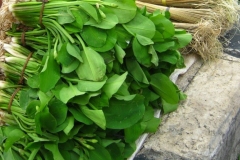 Sawah-Lettuce-sold-in-market