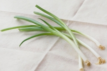 Scallions-3