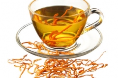 Scarlet-Caterpillarclub-fungus-tea