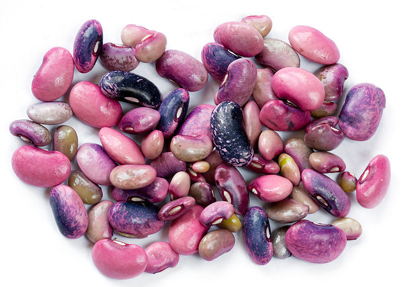 Immature-Seeds-of-Scarlet-runner-bean