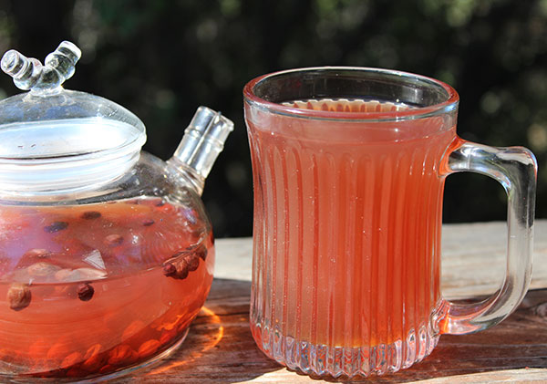 Schizandra-berry-tea-and-extract
