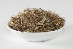 Scoparia-weed