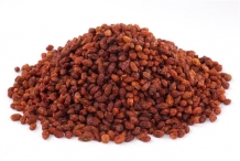 Sea-buckthorn-berry-dried