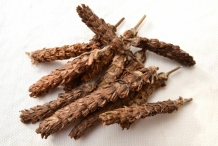 Self-heal-dried