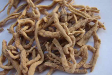 Senega-root