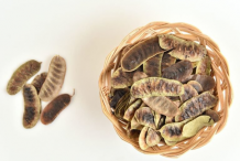 Fruit-of-Senna-plant