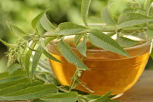 Senna-tea