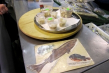 Fermented-Shark-meat