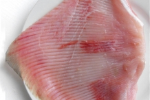 Shark-fillet