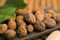 Mature-fruits-of-Shea-butter-plant